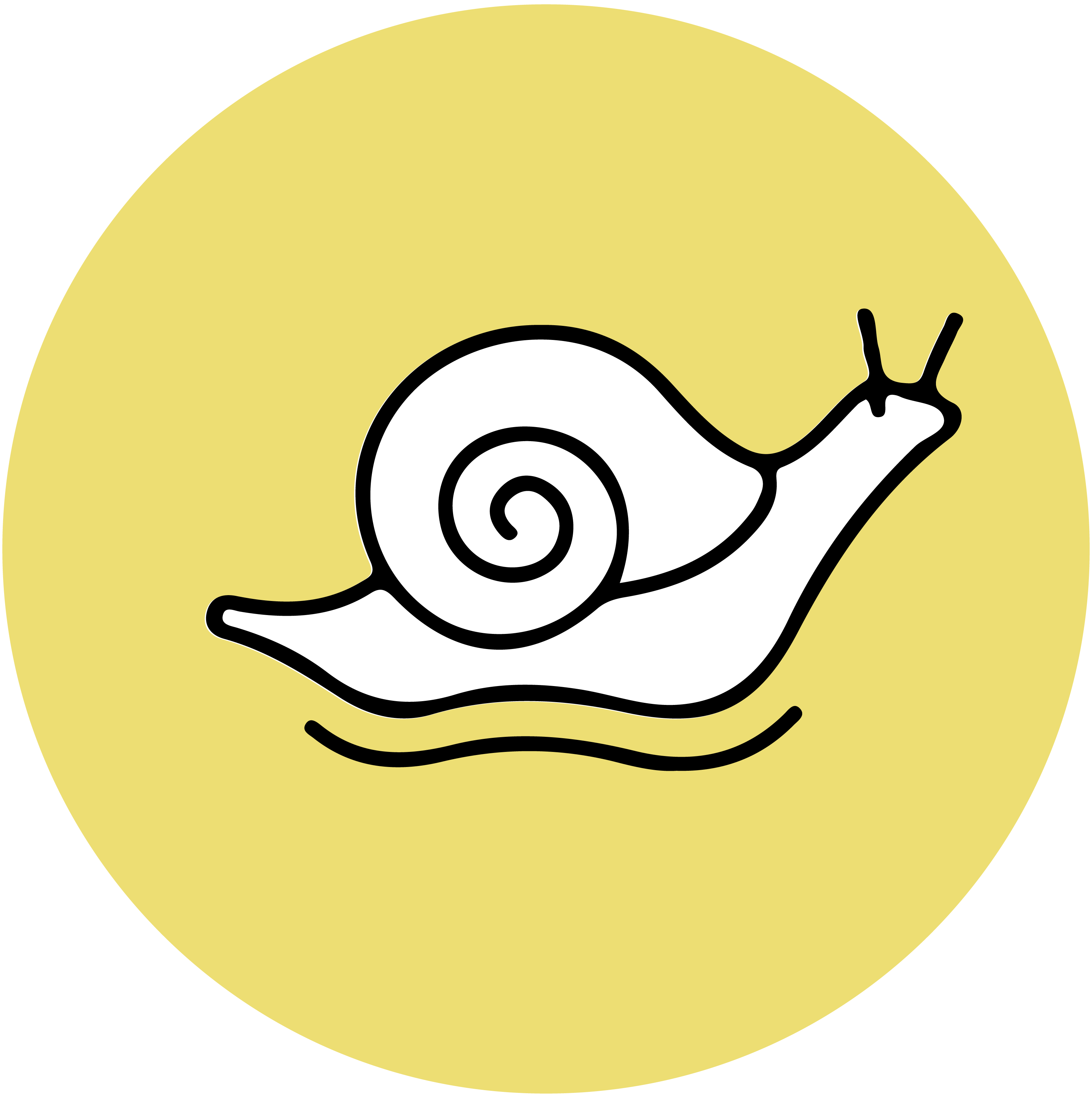 Snail Mucin